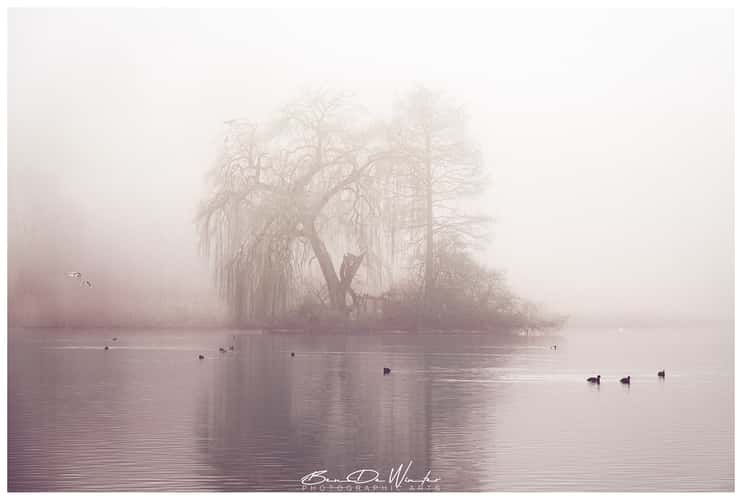Lake Tervuren