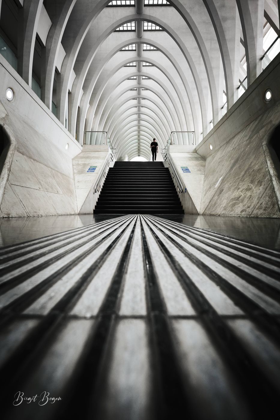 Liège Guillemins, Belgium