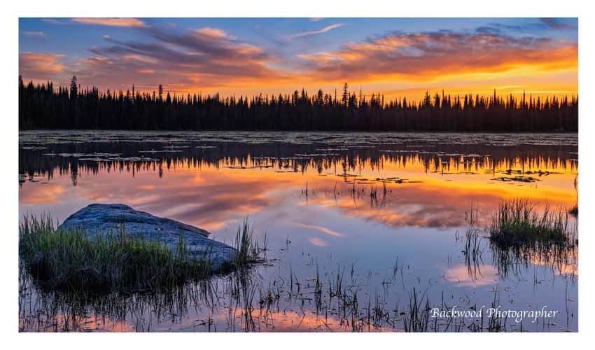 Lily Lake