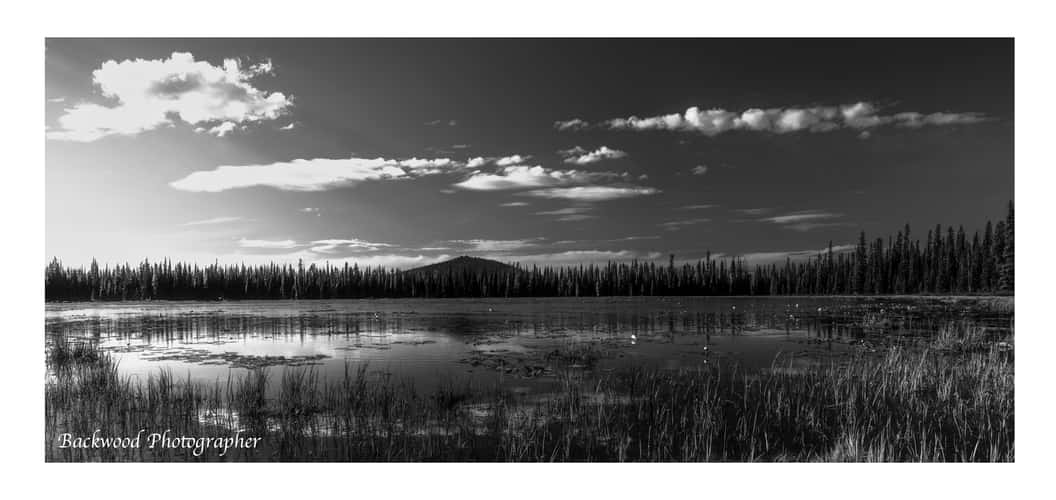 Lily Lake