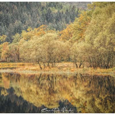 Loch Chon, United Kingdom