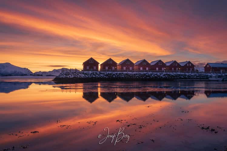 Cabins at Lofoten Base Camp