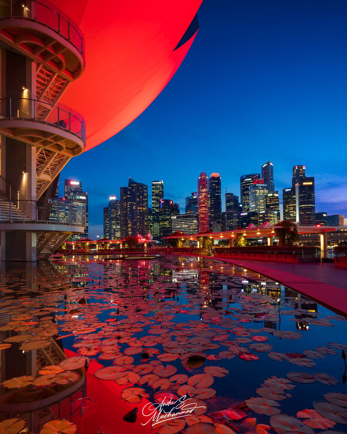 Lotus Pond of the ArtScience Museum Singapore, Singapore