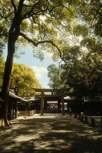 Meiji Shrine, Tokyo
