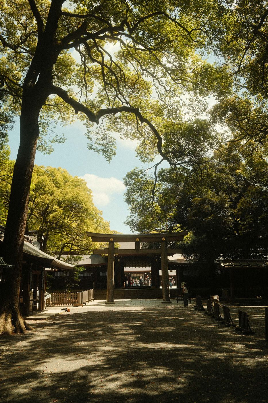 Meiji Shrine, Tokyo, Japan
