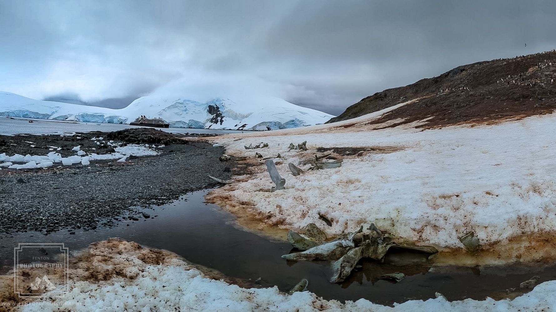 Mikkelsen Harbor, Antarctica