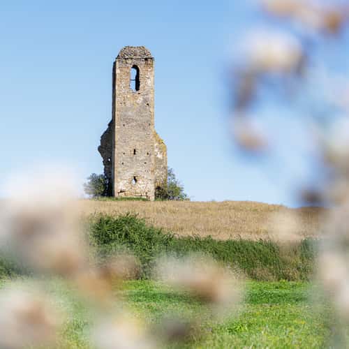 Miloj tower