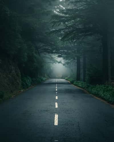 Misty Way to Pico do Arieiro