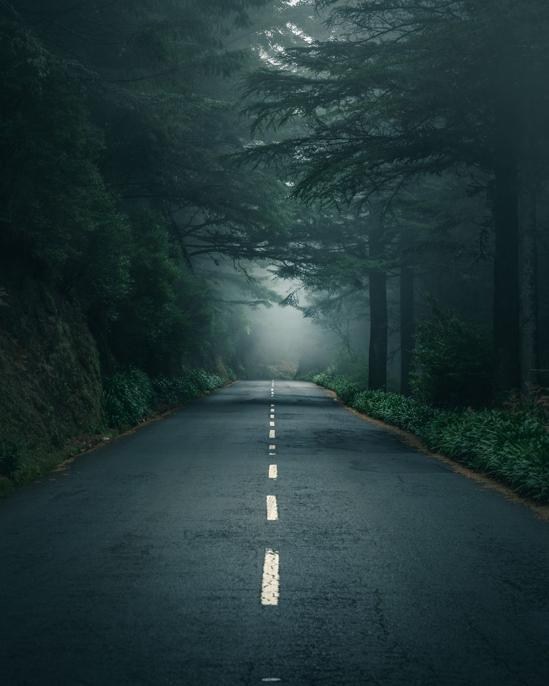 Misty Way to Pico do Arieiro, Portugal