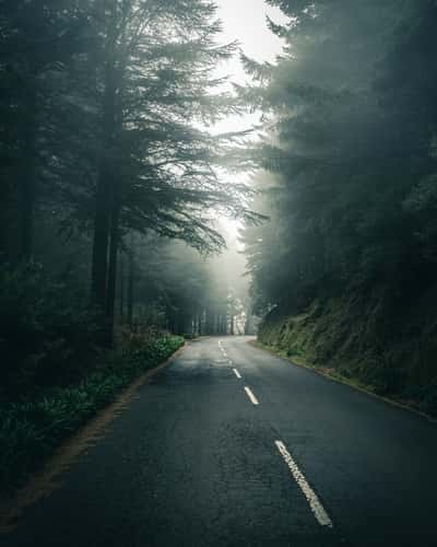 Misty Way to Pico do Arieiro