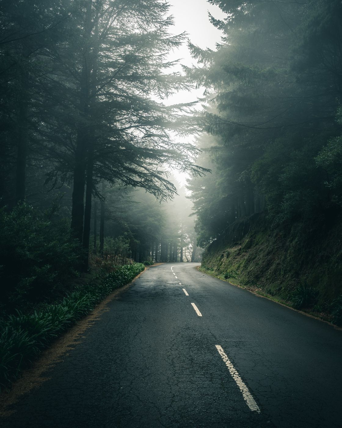 Misty Way to Pico do Arieiro, Portugal
