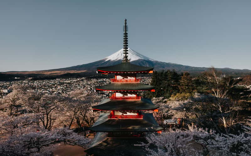 Mount Fuji