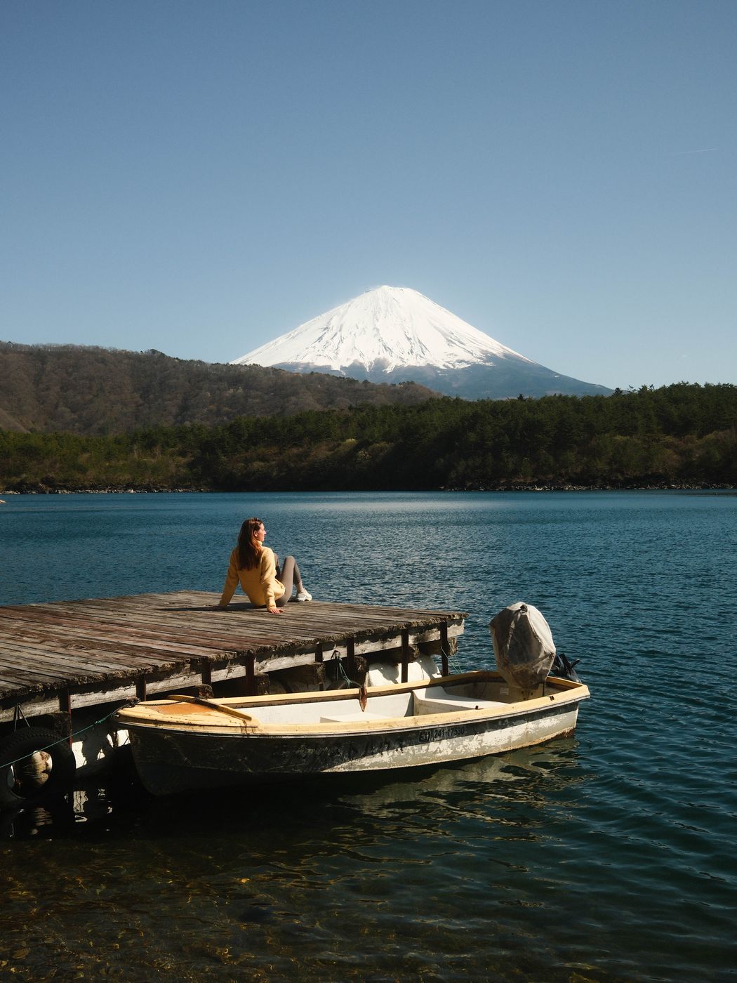 Mount Fuji view from Lake Saiko, Japan