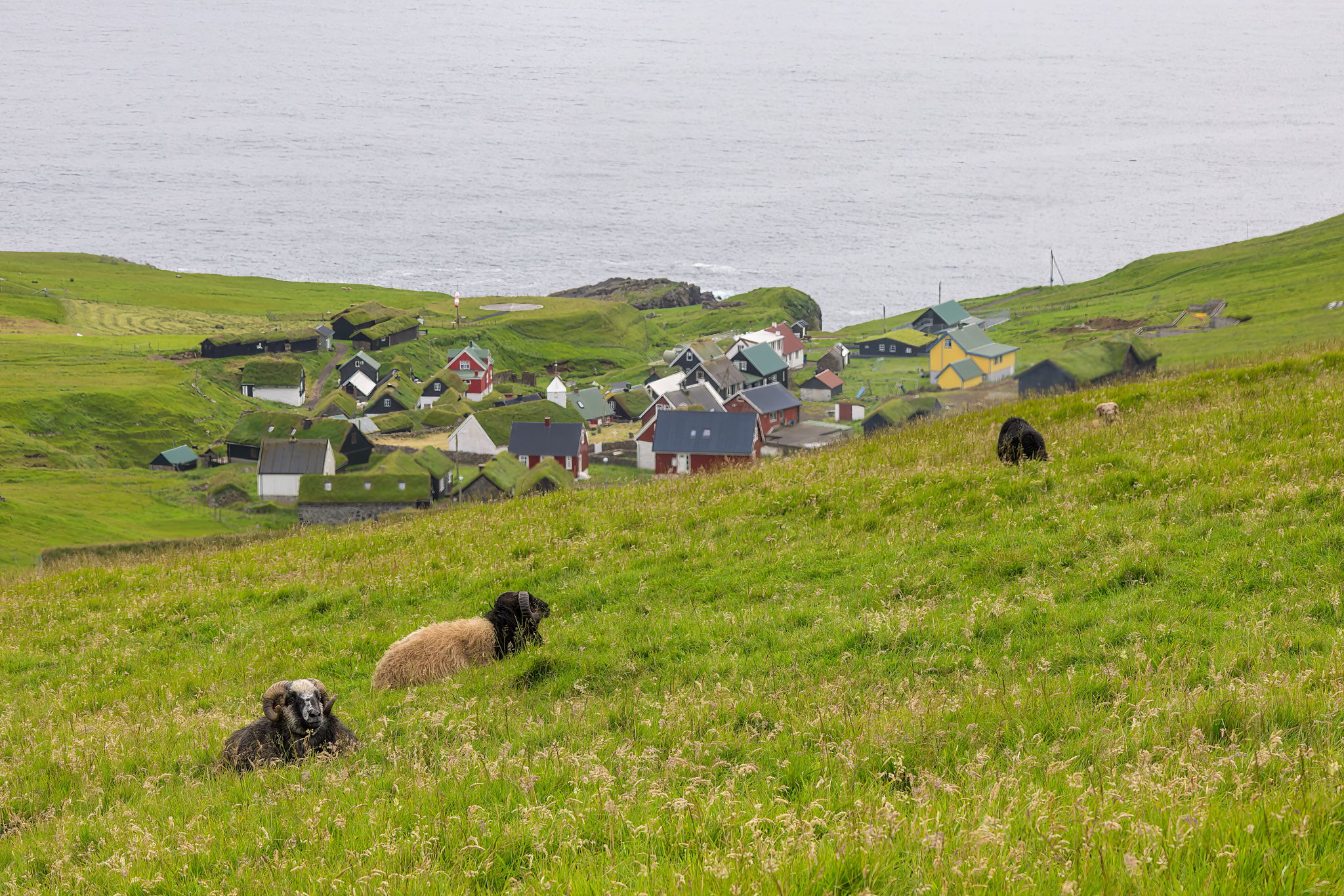 Mykines, Faroe Islands