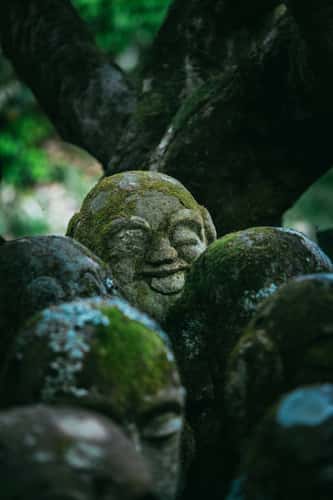 Otagi Nenbutsu-Ji Temple, Kyoto