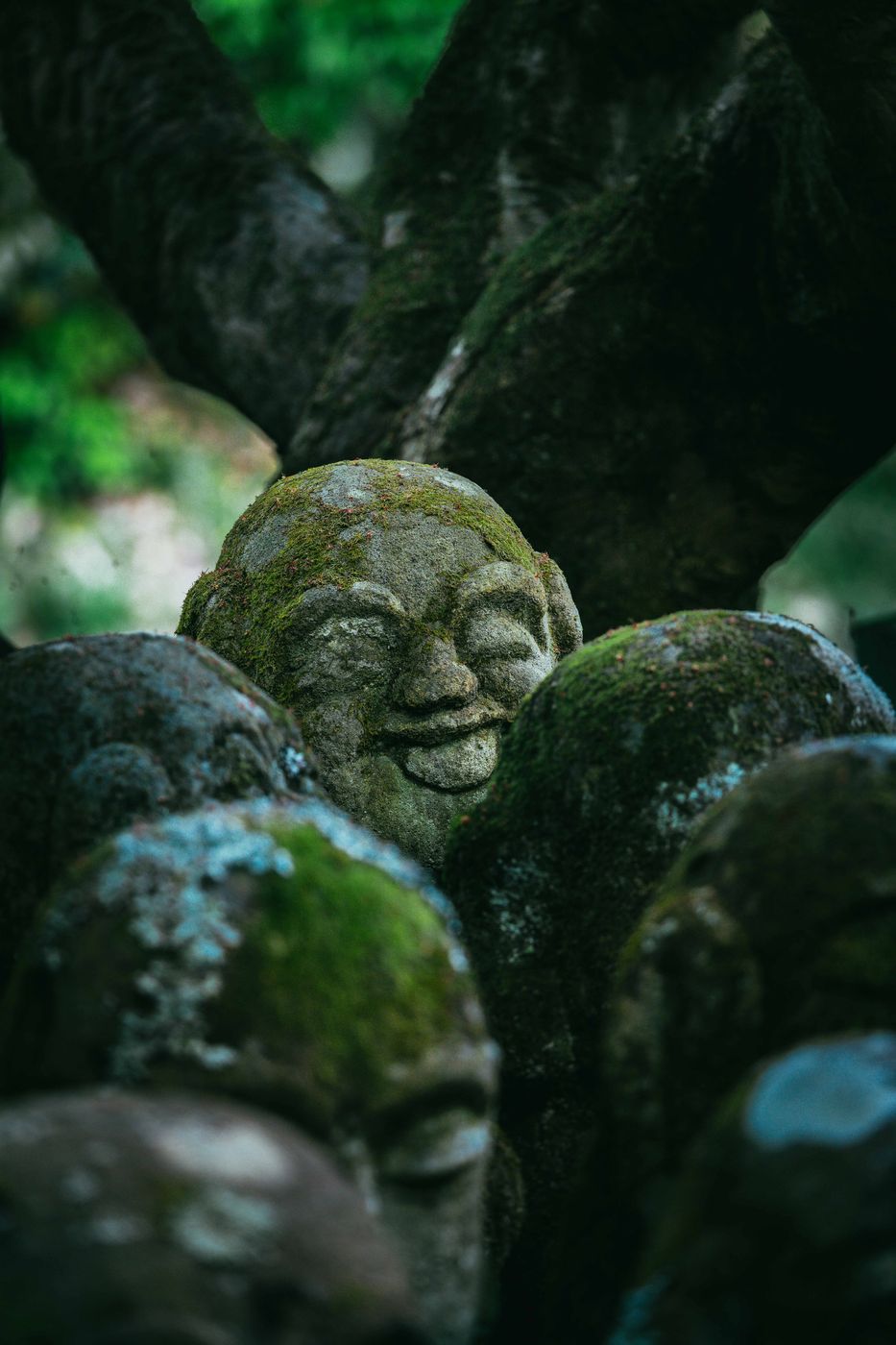 Otagi Nenbutsu-Ji Temple, Kyoto, Japan