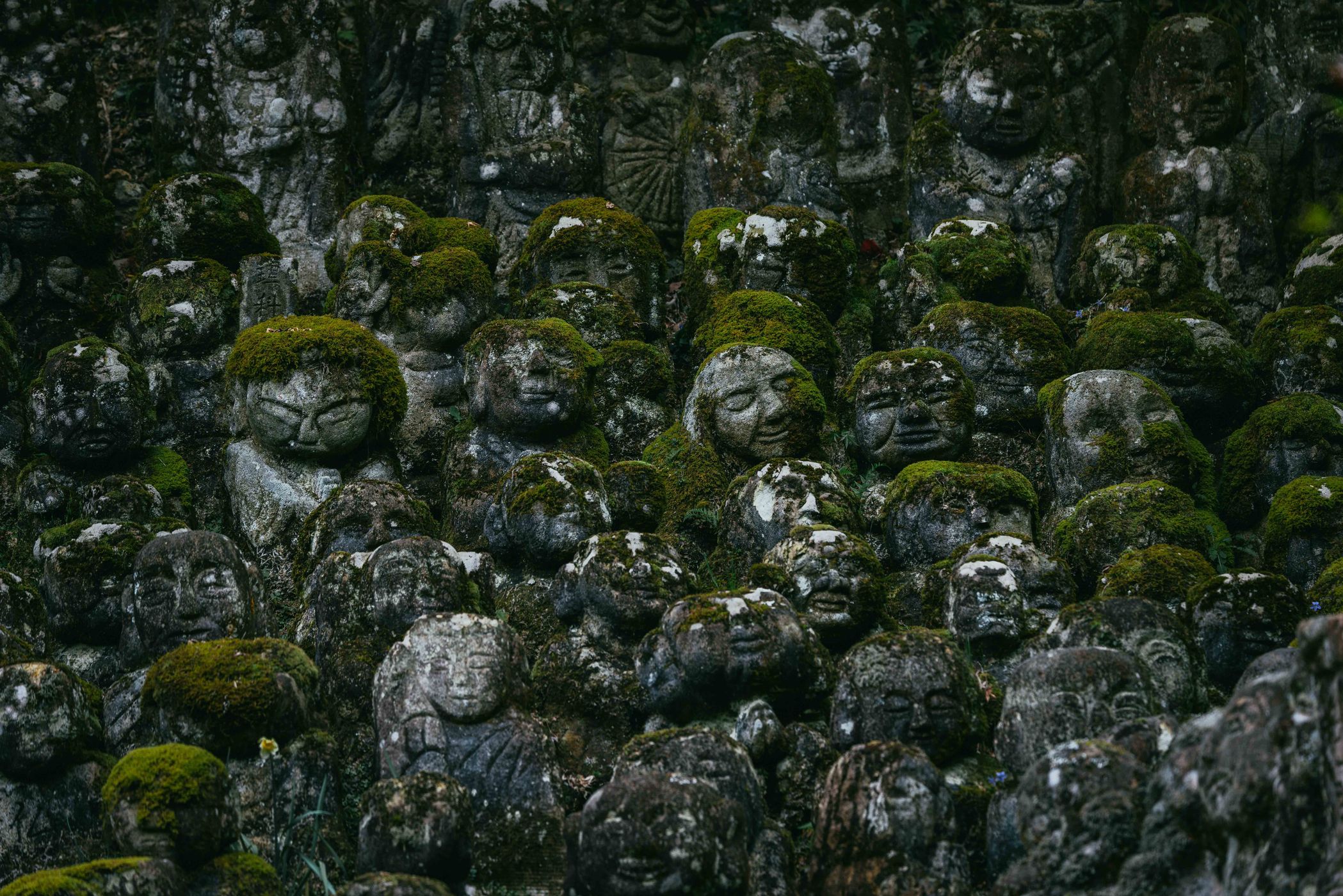 Otagi Nenbutsu-Ji Temple, Kyoto, Japan