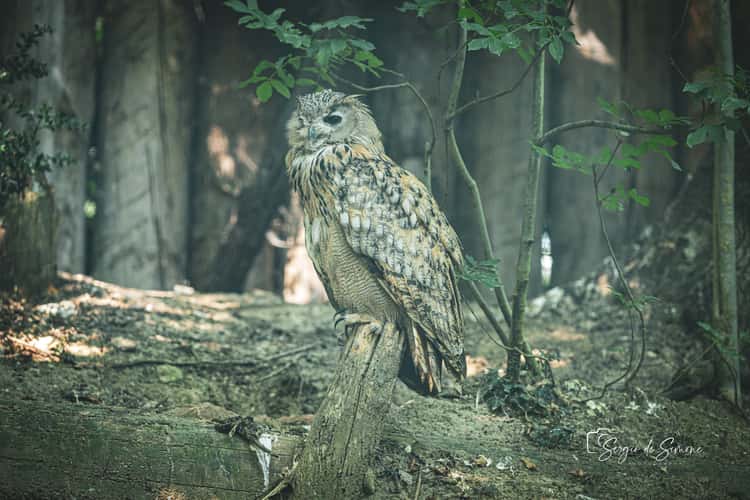 Parco Natura Viva