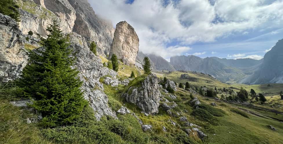 Pieralongia Alm
