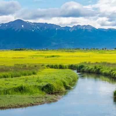 Potter Marsh, USA