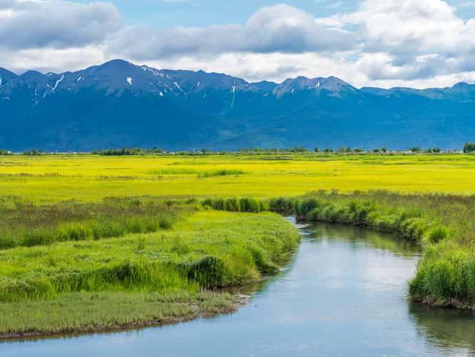 Potter Marsh