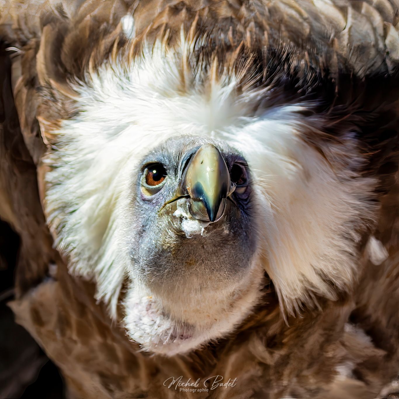 Puy du Fou, France