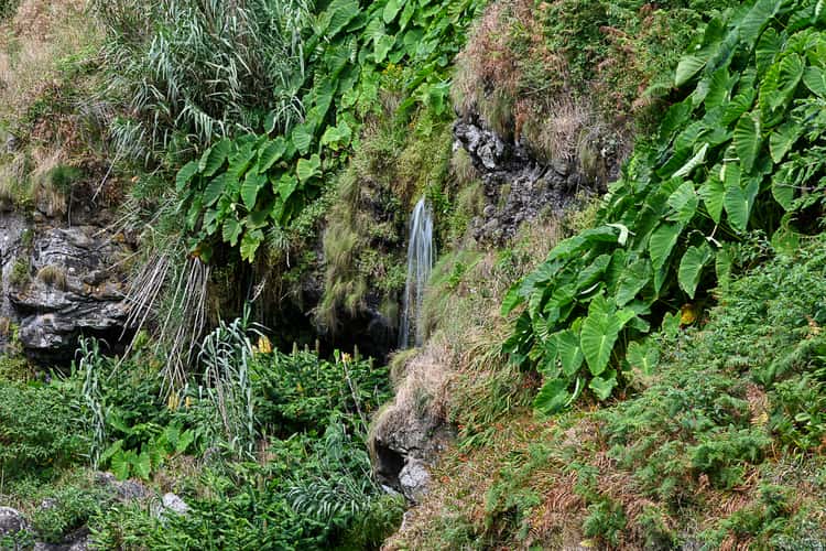 Queda de Água do Salto da Farinha - Poço Azul