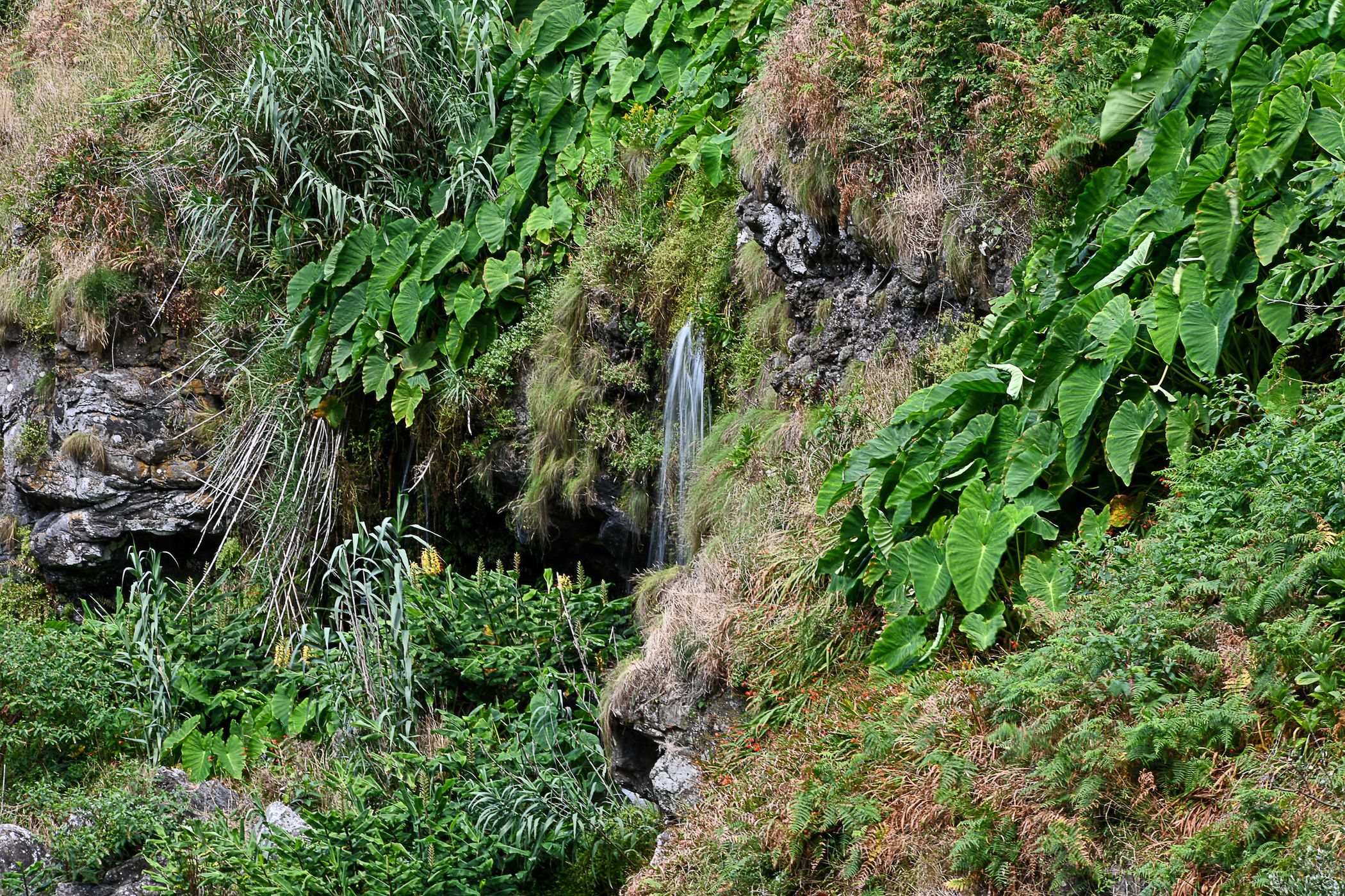 Queda de Água do Salto da Farinha - Poço Azul, Portugal