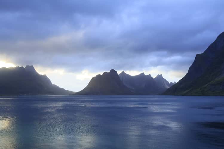 Reine
