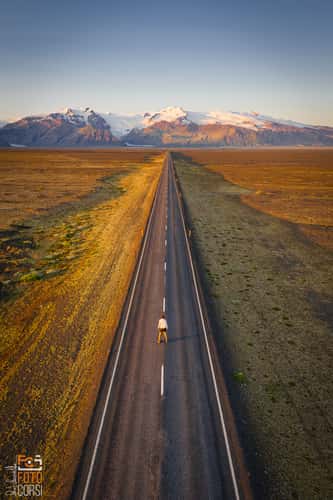 Road towards the Vatnajökull