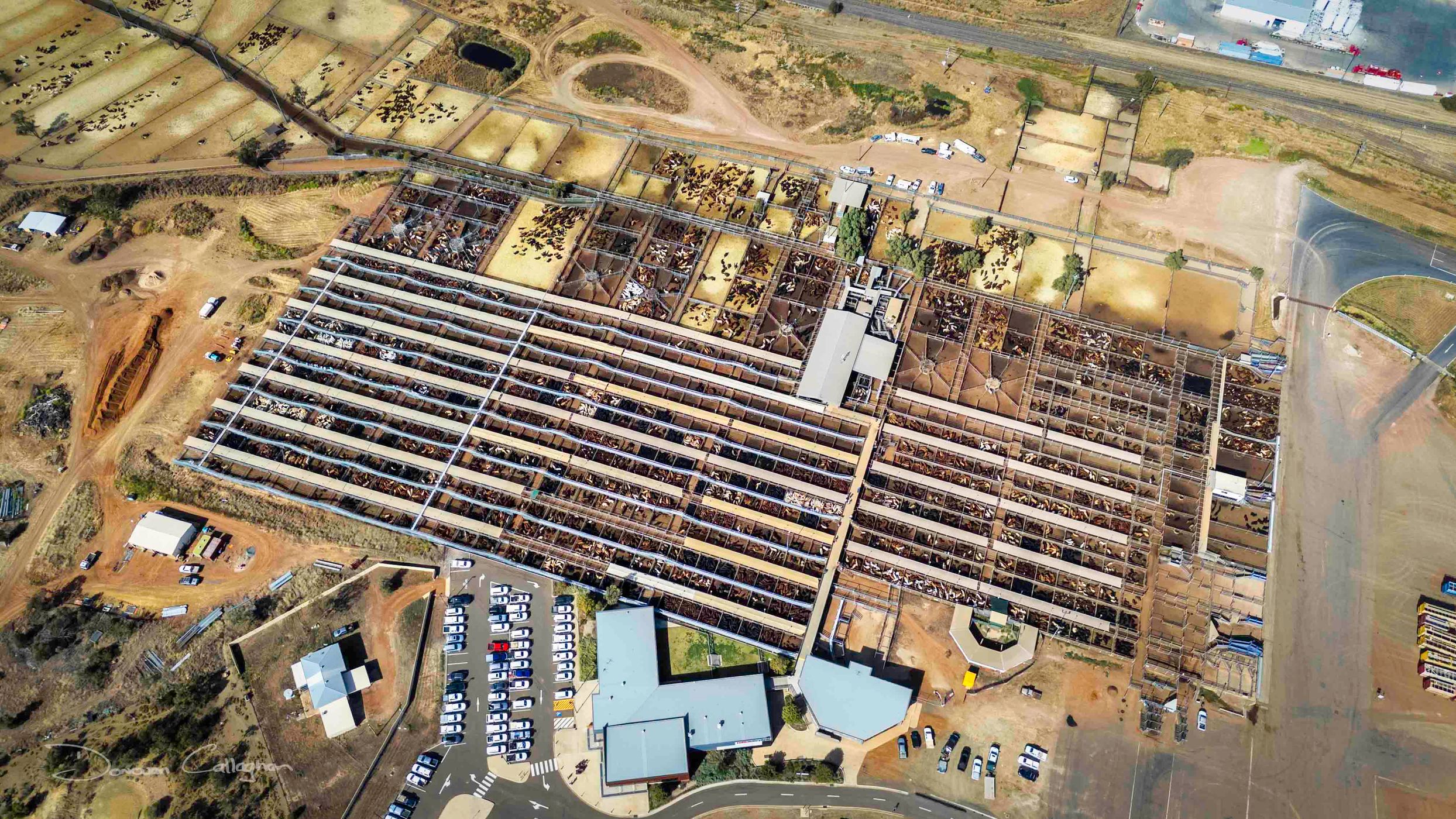 Sale Yards, Roma, Queensland, Australia