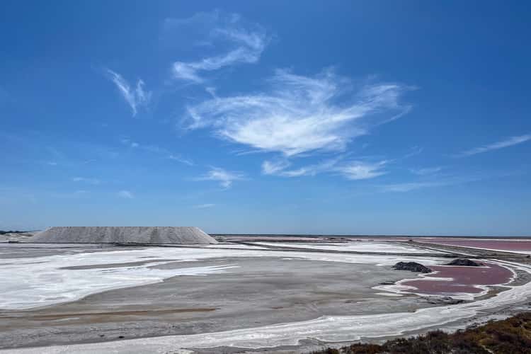 Salin de Giraud, Point d’observation des salins