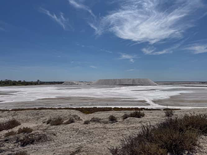 Salin de Giraud, Point d’observation des salins