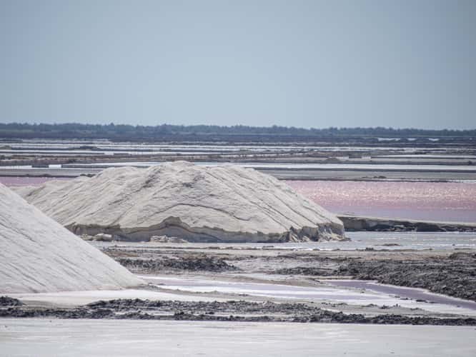 Salin de Giraud, Point d’observation des salins