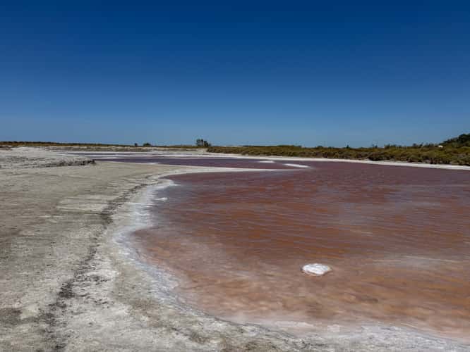 Salin de Giraud, Point d’observation des salins