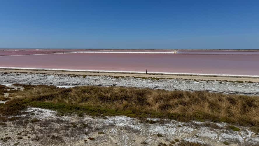 Salin de Giraud, Point d’observation des salins