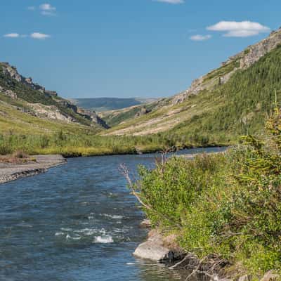 Savage River near Check Station, USA