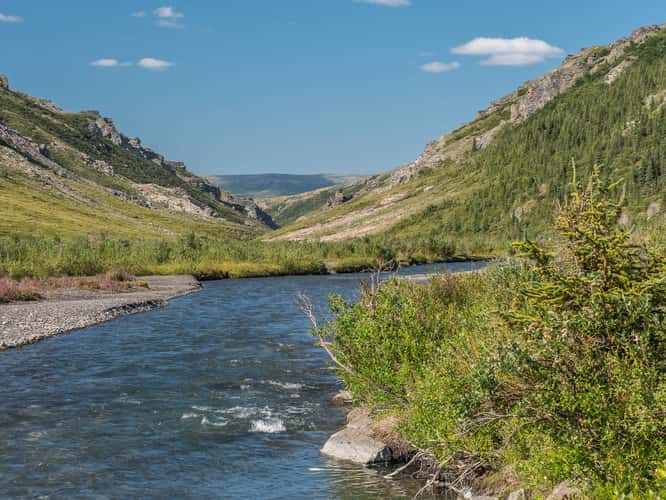 Savage River near Check Station