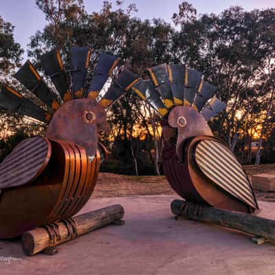 Sculptures Out Back, Roma, Queensland, Australia