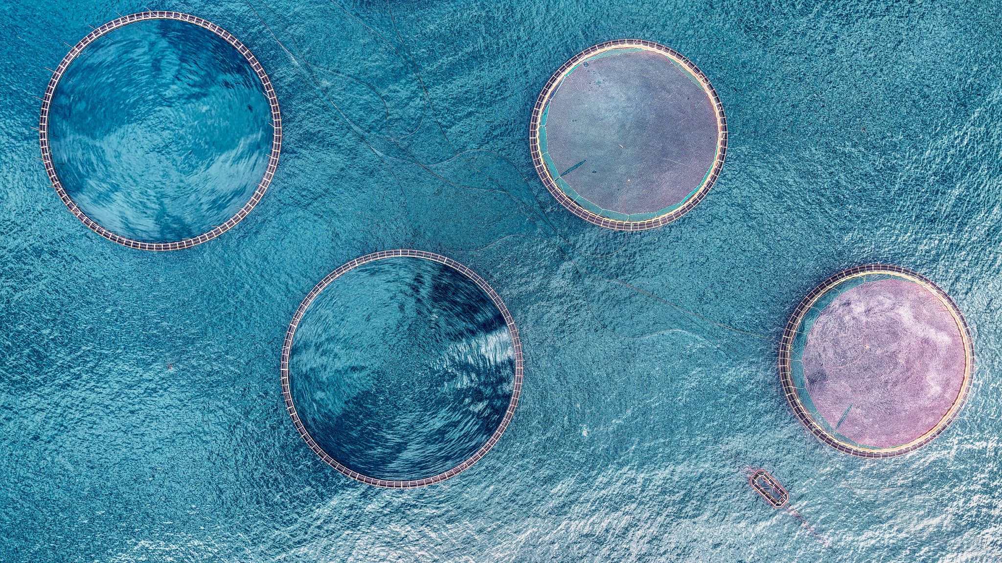 Sea cages, Faroe Islands