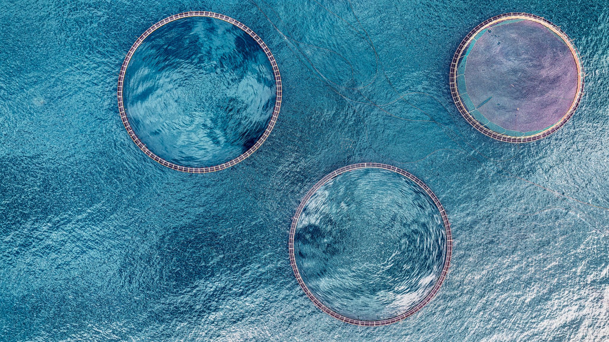 Sea cages, Faroe Islands