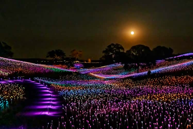 Sensorio, Field of Light