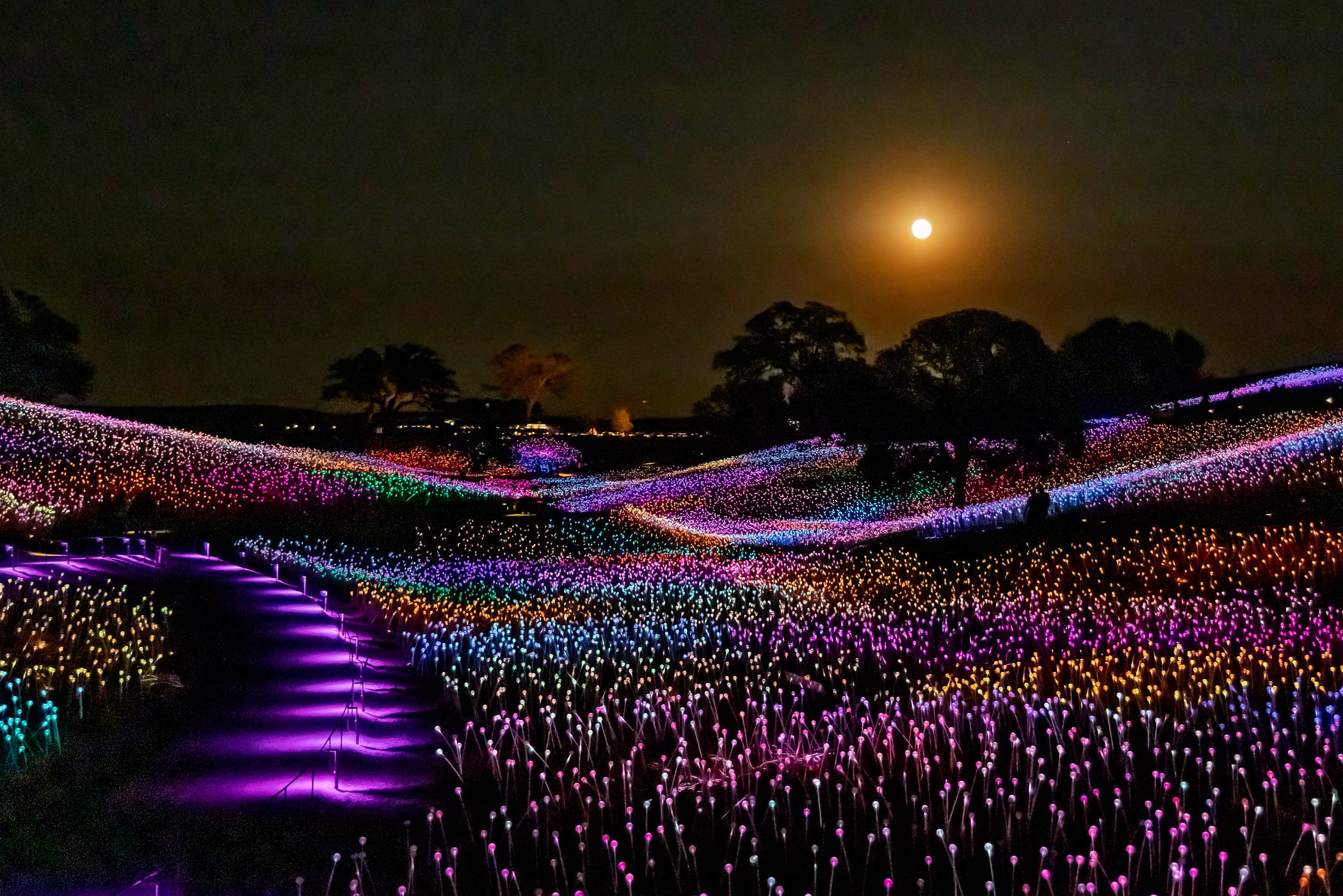 Sensorio, Field of Light, USA