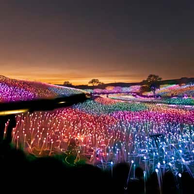 Sensorio, Field of Light, USA