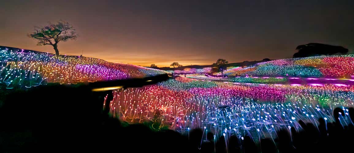 Sensorio, Field of Light