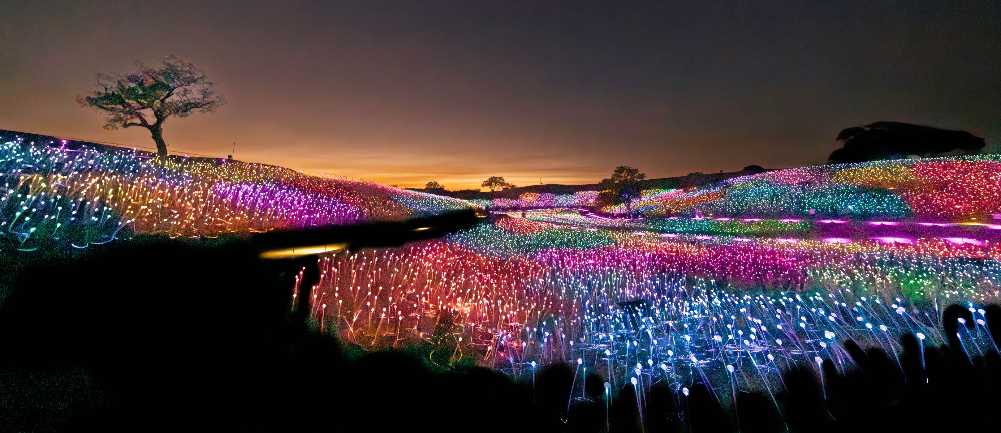 Sensorio, Field of Light, USA