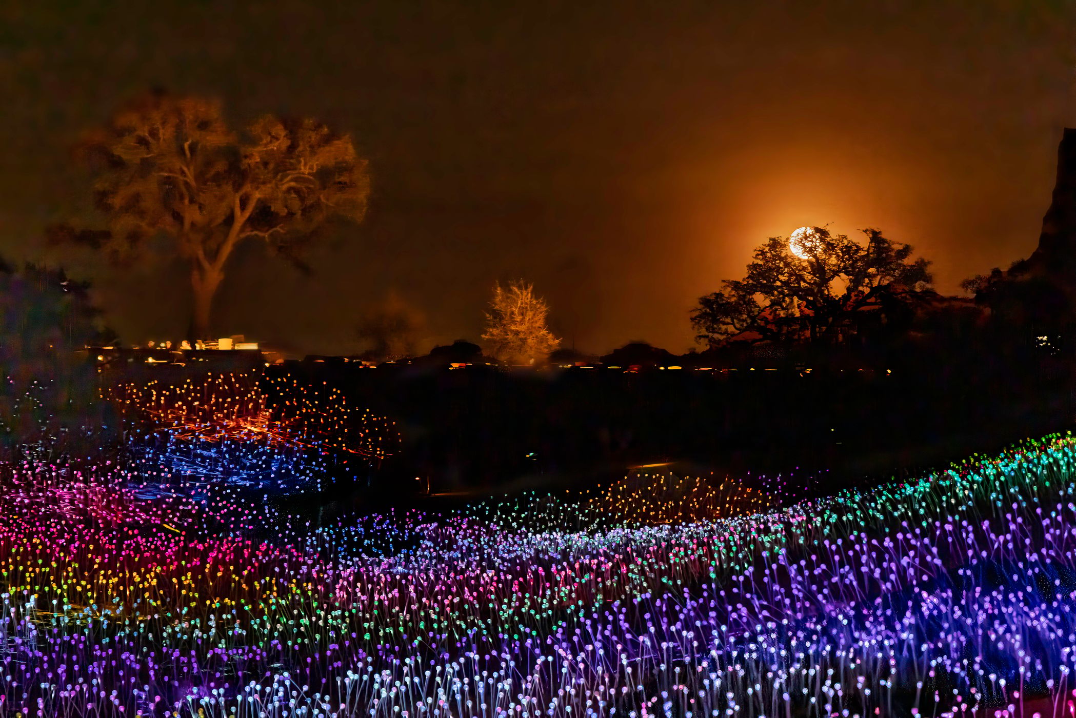 Sensorio, Field of Light, USA