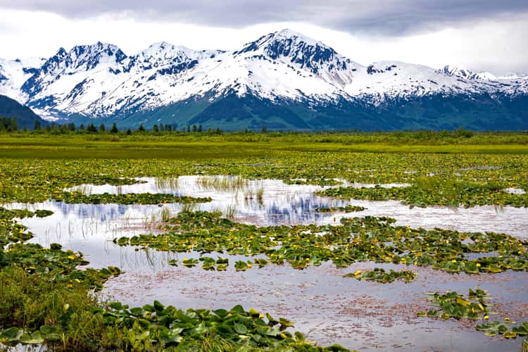 Seward Highway