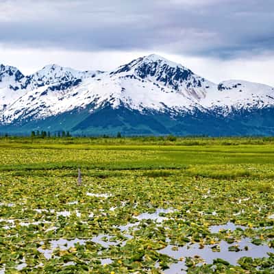 Seward Highway, USA