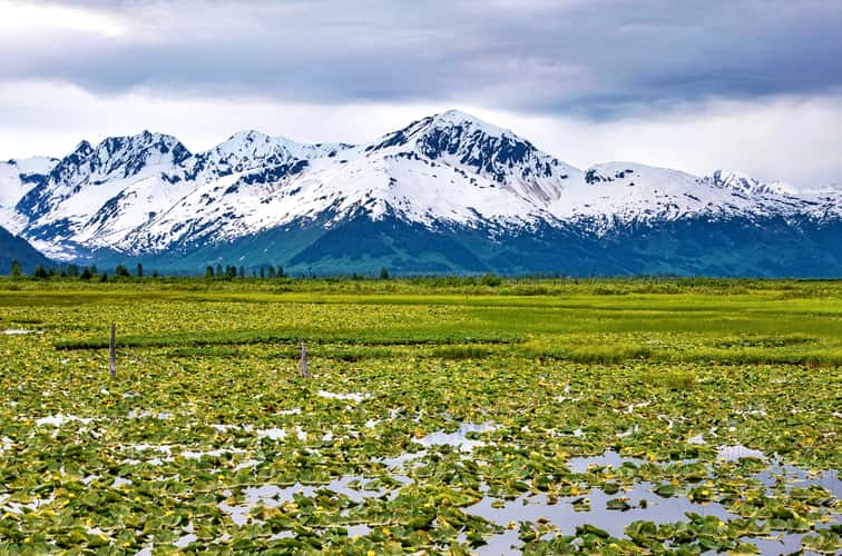 Seward Highway